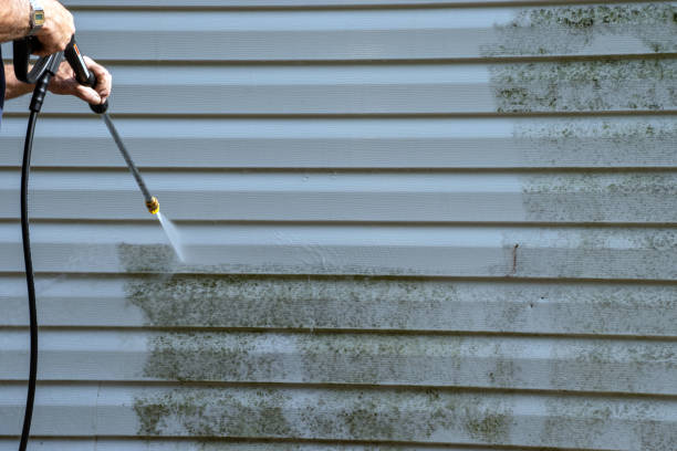 Trusted Houghton, NY Junk Removal Experts